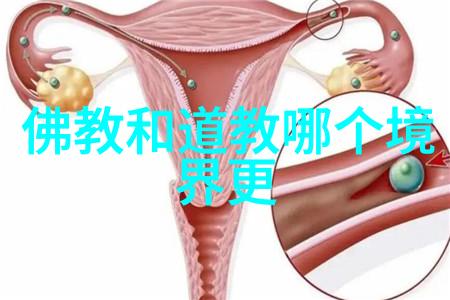 太极图代表道家文化