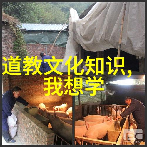 仁宗皇帝 崇道赋