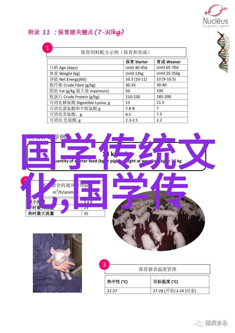 梁涛走向世界的儒学