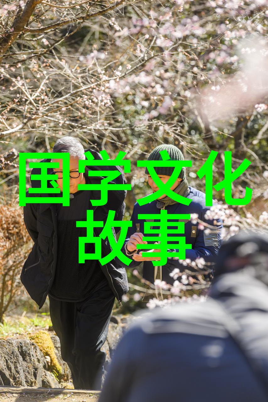 宝珠市饼